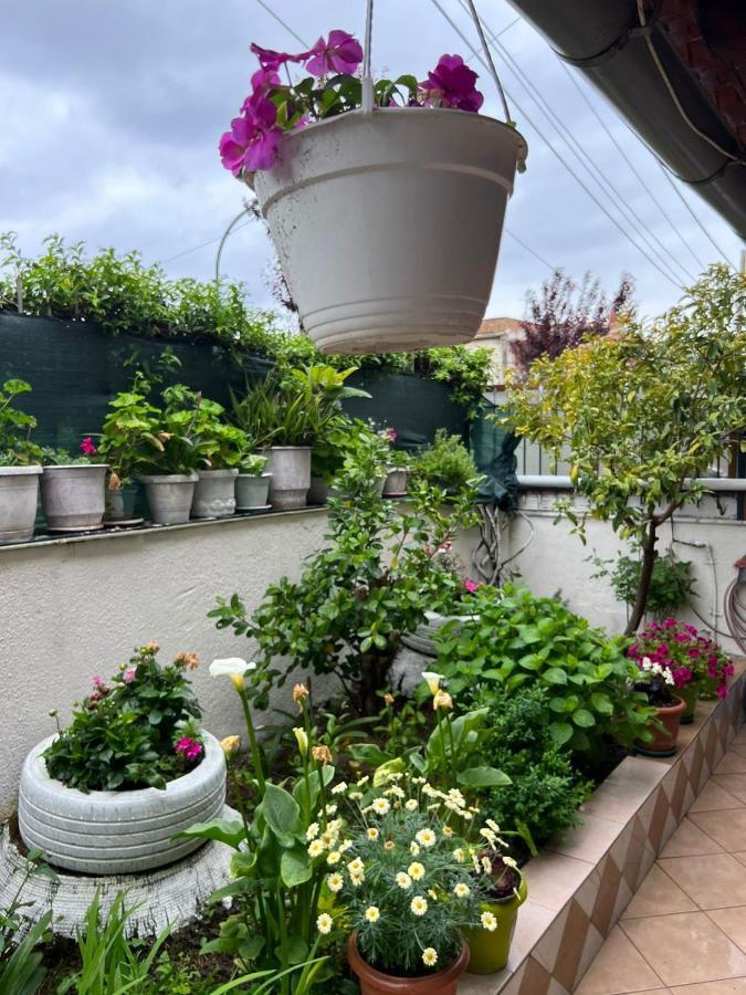 Goni Guest House Sarandë 외부 사진